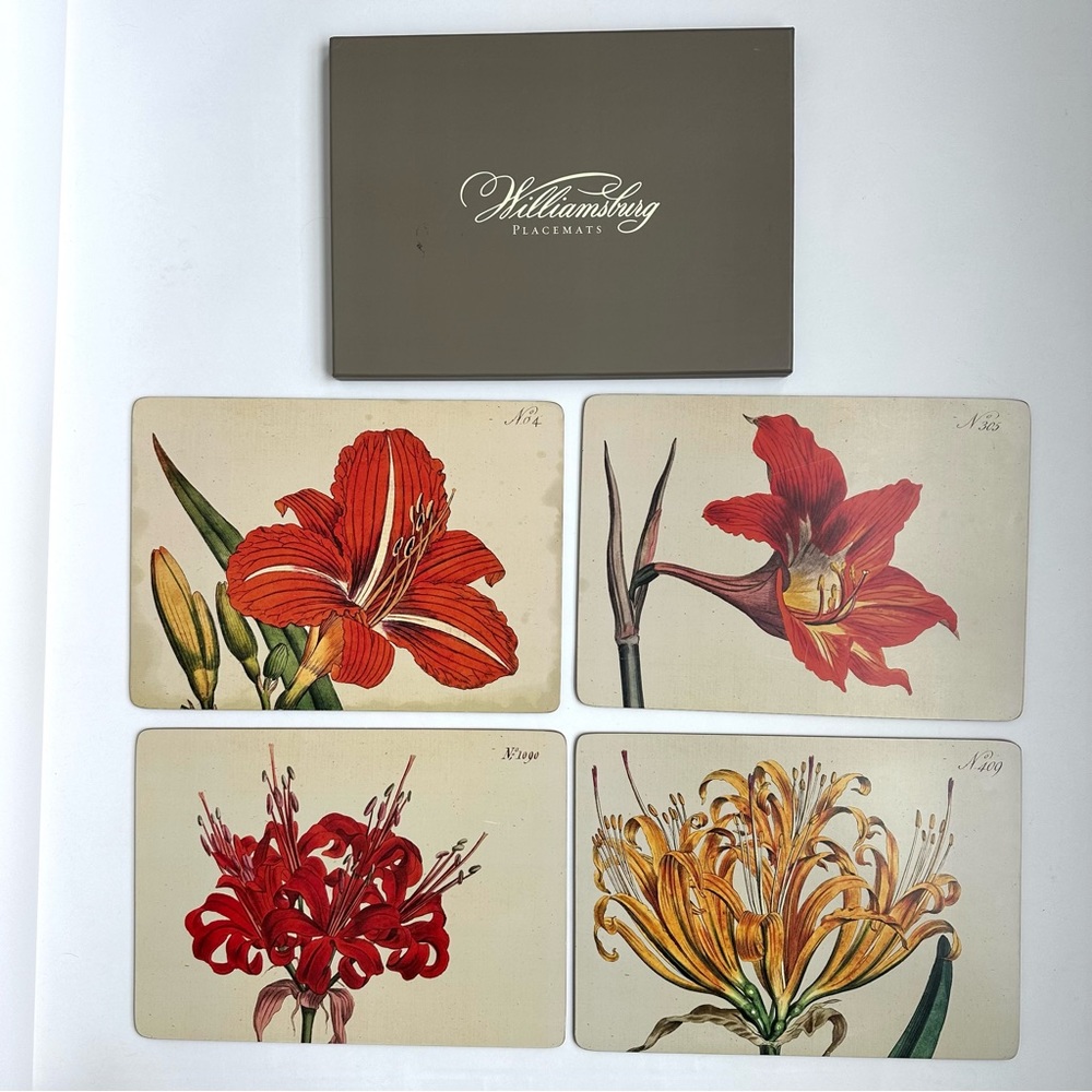 Cala Home Hardboard Cork Backed Floral Placemats from Colonial Williamsb…